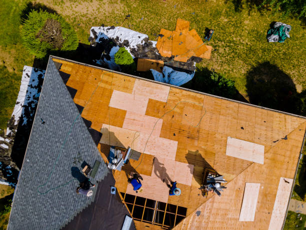 Best Metal Roofing Contractor  in Mccook, NE